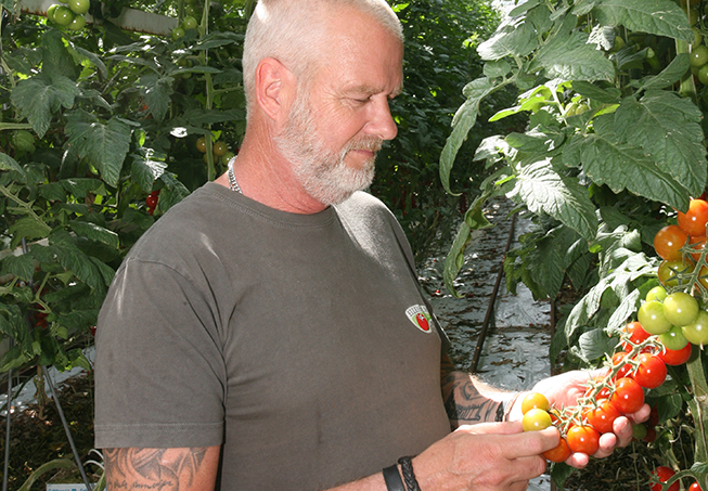 Thomas Lilja, Elleholmstomat